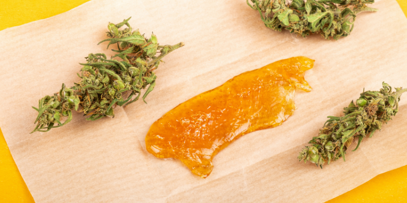 THC toxicity, THC poisoning, pet toxins, pet poisoning, Animal Emergency & Referral Center of Minnesota