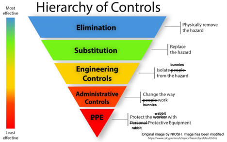 Hierarchy of Controls, Rabbit health, pet rabbits, Animal Emergency & Referral Center of Minnesota