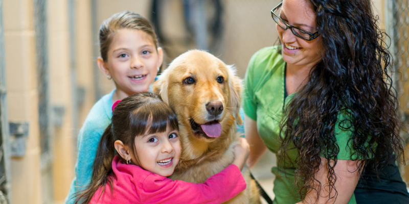 kids, adopting dog, humane society, technician, pet loss, pet loss support, AERC Pet Loss, pets grieving other pets, Animal Emergency & Referral Center of Minnesota, Human Animal Bond Social Worker, Colleen Crockford