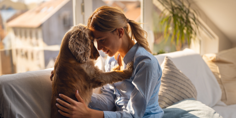 woman, dog, forehead to forehead, sitting on couch, pet loss, pet loss support, AERC Pet Loss, pets grieving other pets, Animal Emergency & Referral Center of Minnesota, Human Animal Bond Social Worker, Colleen Crockford