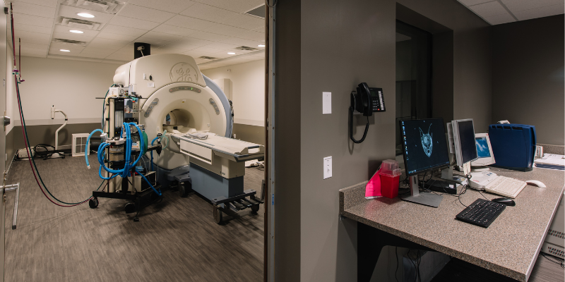 sudden collapse, pet collapses, pet health, pet emergency, Animal Emergency & Referral Center of Minnesota