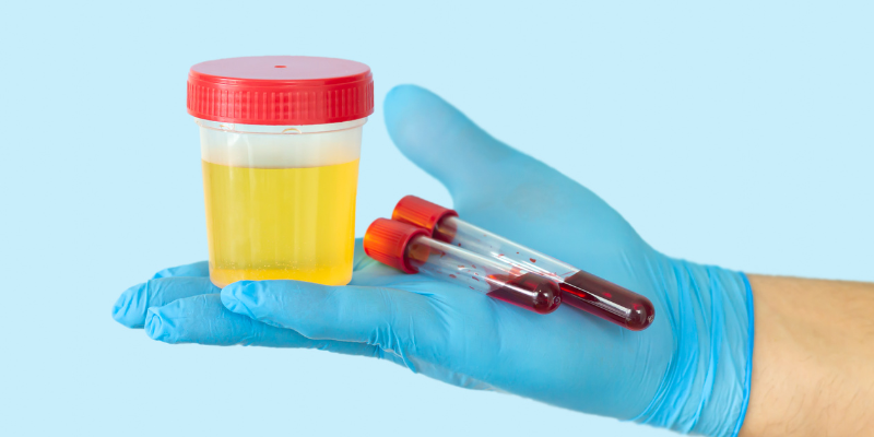 weight loss in pets, chronic weight loss, weight loss in dogs, weight loss in cats, Internal Medicine, Animal Emergency & Referral Center of Minnesota