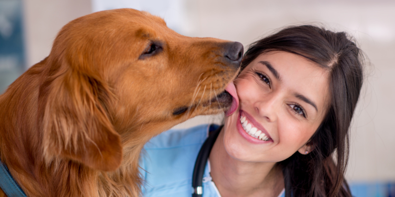 dog licking female veterinarian, summer pet dangers, summer pet hazards, summer pet health, pet emergency, veterinary medicine, Animal Emergency & Referral Center of Minnesota