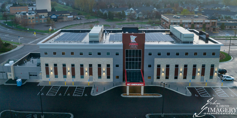 vomiting in pets, pet health, dog vomiting, cat vomiting, pet emergency, Animal Emergency & Referral Center of Minnesota