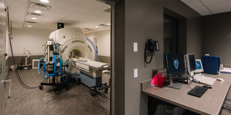 high-field MRI, seizures in pets, types of seizures in pets, causes of seizures in pets, veterinary neurology, board-certified veterinary neurologist, Animal Emergency & Referral Center of Minnesota