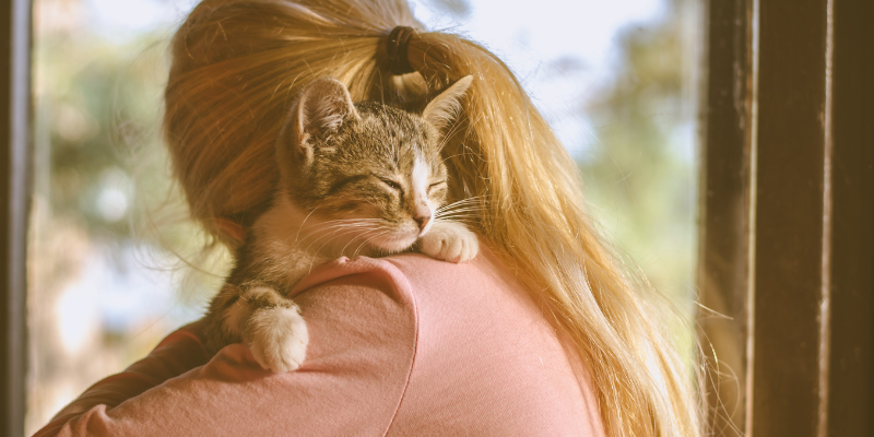 woman hugging cat, mammary tumors, dog, cats, pets, pet health, veterinary oncology, Animal Emergency & Referral Center of Minnesota