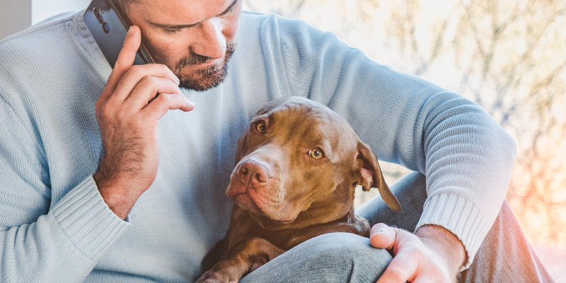 man holding dog while talking on the phone, Caffeine, Caffeine toxicity in pets, Caffeine sources, Animal Emergency & Referral Center of Minnesota