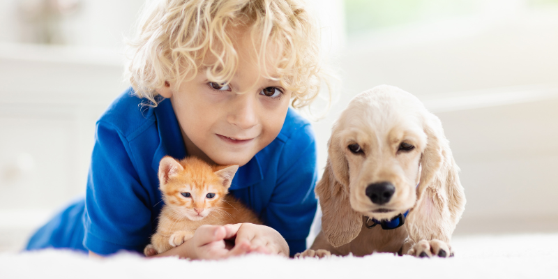 kid with kitten and dog, holiday guests, pet parents, pet safety, Animal Emergency & Referral Center of Minnesota