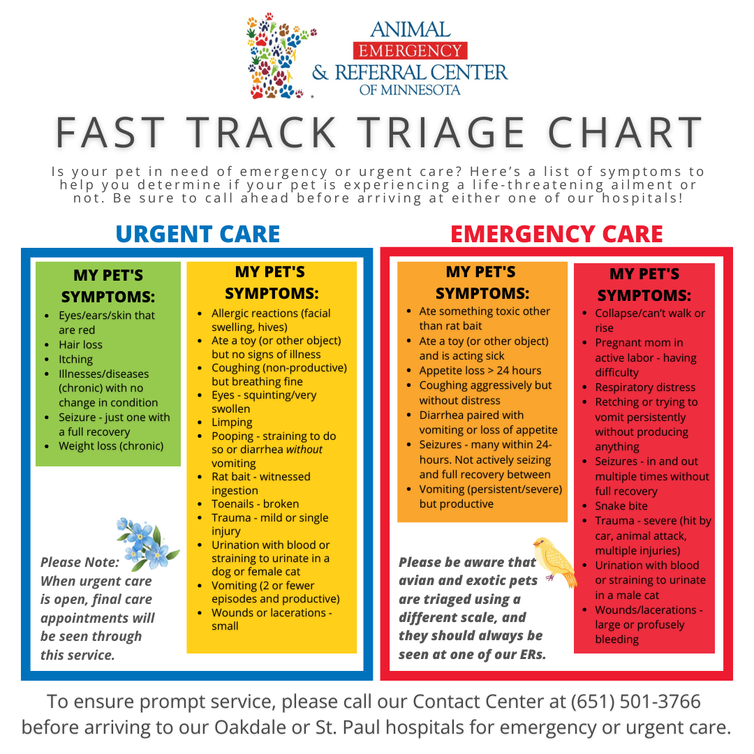 Animal Emergency Fast Track Triage Chart