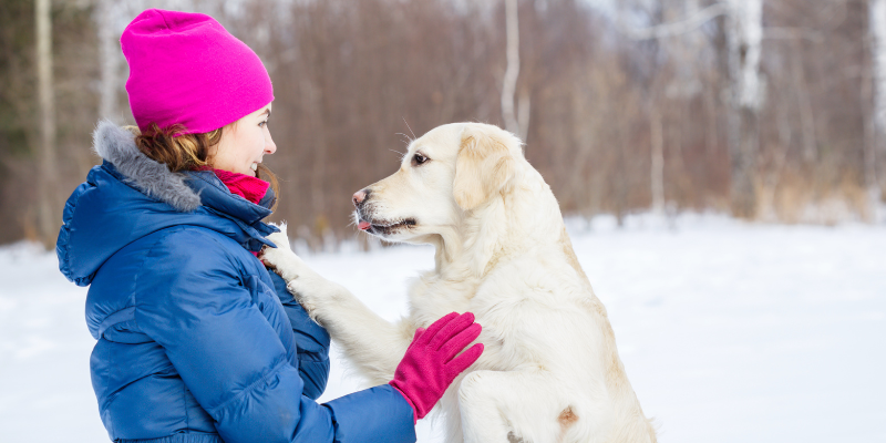 Dog owner bundled up in winter gear with dog surrounded by snow, holidays with pets, Animal Emergency & Referral Center of Minnesota