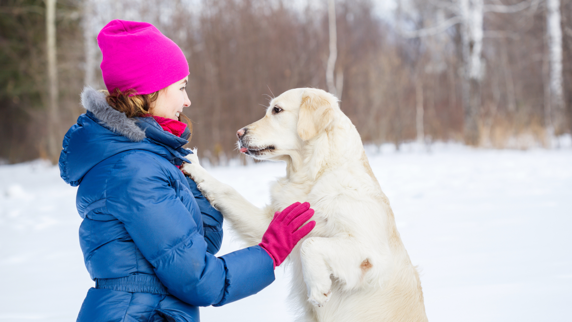 7 Safe & Fun Ways to Celebrate the Holidays with Your Pets