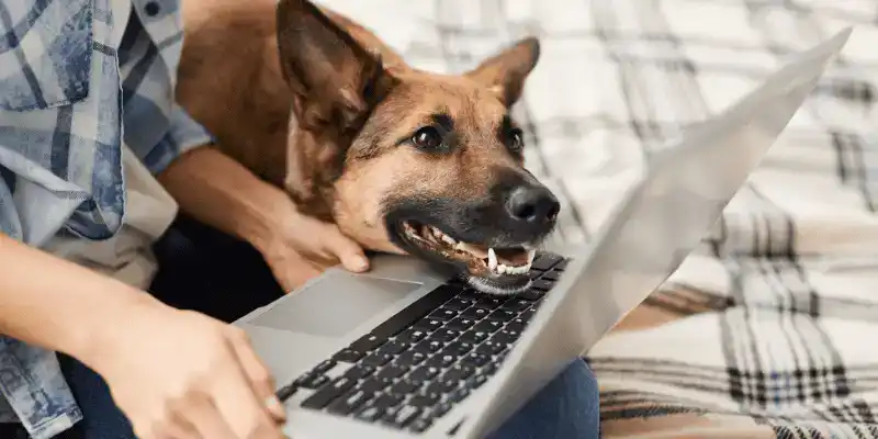 AERC’s Top 10 Blogs of 2023