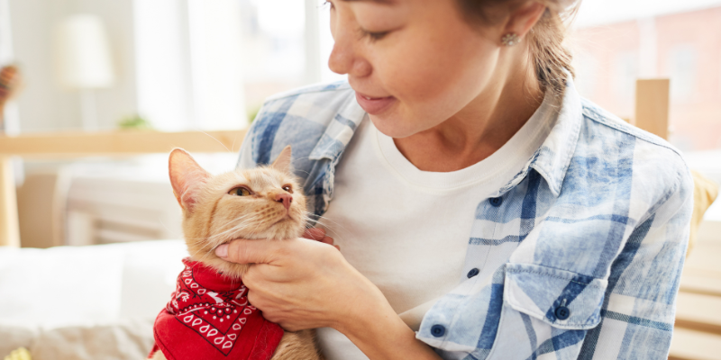 woman holding her cat on couch, pet owner blog, pet parent blog, veterinary blog, Animal Emergency & Referral Center of Minnesota