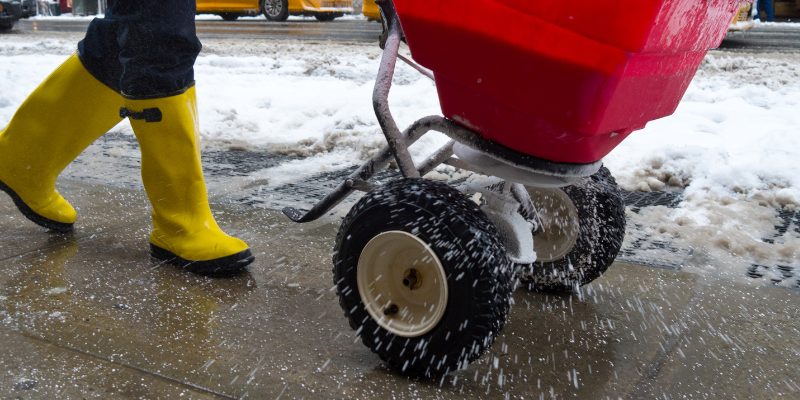 ice melt salt being sprayed on sidewalk, ice melt toxicity, Animal Emergency & Referral Center of Minnesota