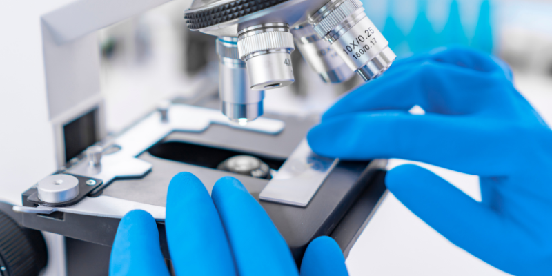 Gloved hands holding slide on a microscope to examine for cancer cells.