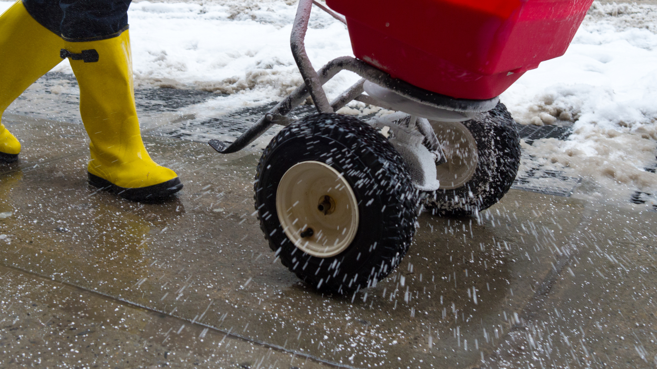 Ice Melt Toxicity in Pets