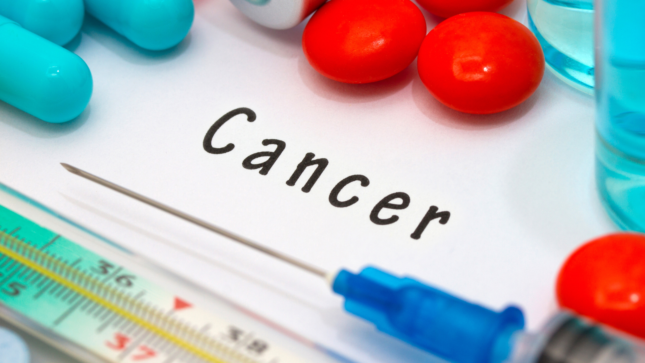 Common Types of Cancer in Pets | Part II: Making Difficult Decisions