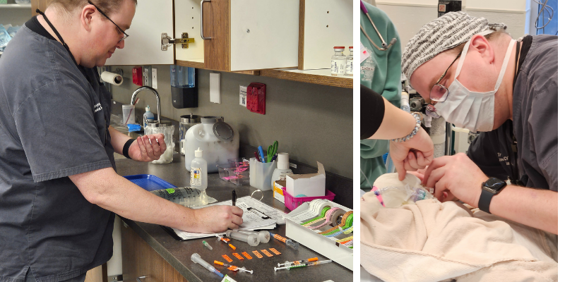 A two photo collage. The first photo is of Travis, one of our anesthesia technicians, assessing the anesthesia drugs for a pet's surgery. The second photo is of Travis administering anesthesia to a pet during surgery. Animal Emergency & Referral Center of Minnesota.