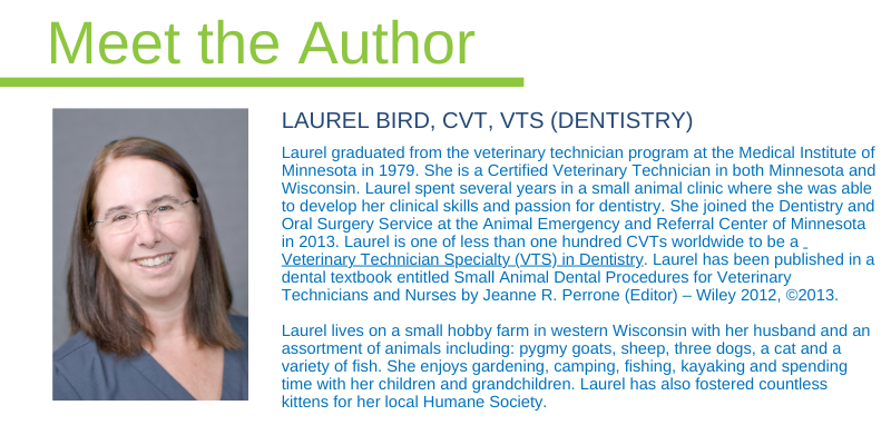 LAUREL BIRD, CVT, VTS (DENTISTRY), Animal Emergency & Referral Center of Minnesota 