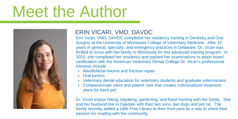 Dr. Vicari, VMD, DAVDC, Animal Emergency & Referral Center of Minnesota