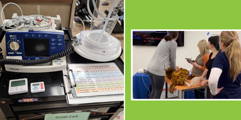 Two photos: The first photo is of an emergency crash cart equipped with tools and devices needed to save a pet's life. The second photo is of members of our team completing a RESCUE training class to improve CPR skills. 