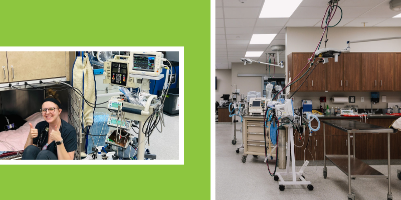 Two photos: The first photo is of a veterinary technician monitoring a dog who is being kept stable with the "Tree of Life" machines which includes a continuous ECG monitor to track the patient’s heart rate, two fluid pumps running two different IV fluids, and three syringe pumps running three different continuous medications. The second photo is of the treatment floor at Animal Emergency & Referral Center of Minnesota.