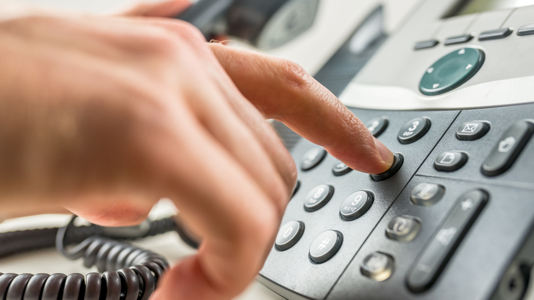 The Benefits of Toxicology Hotlines for Pets