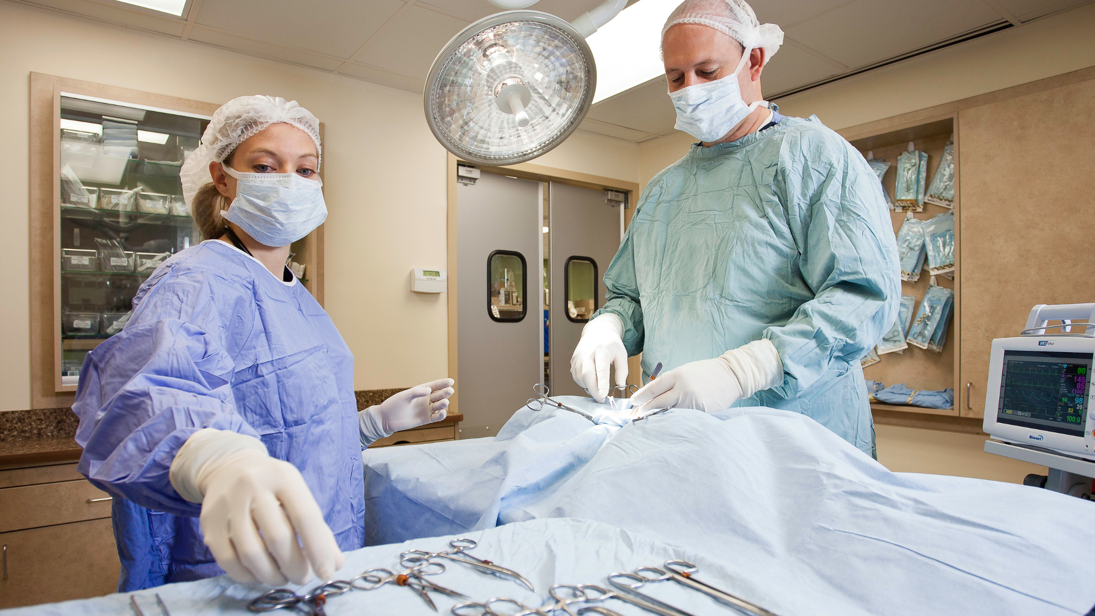 Navigating Your Pet’s Anesthesia