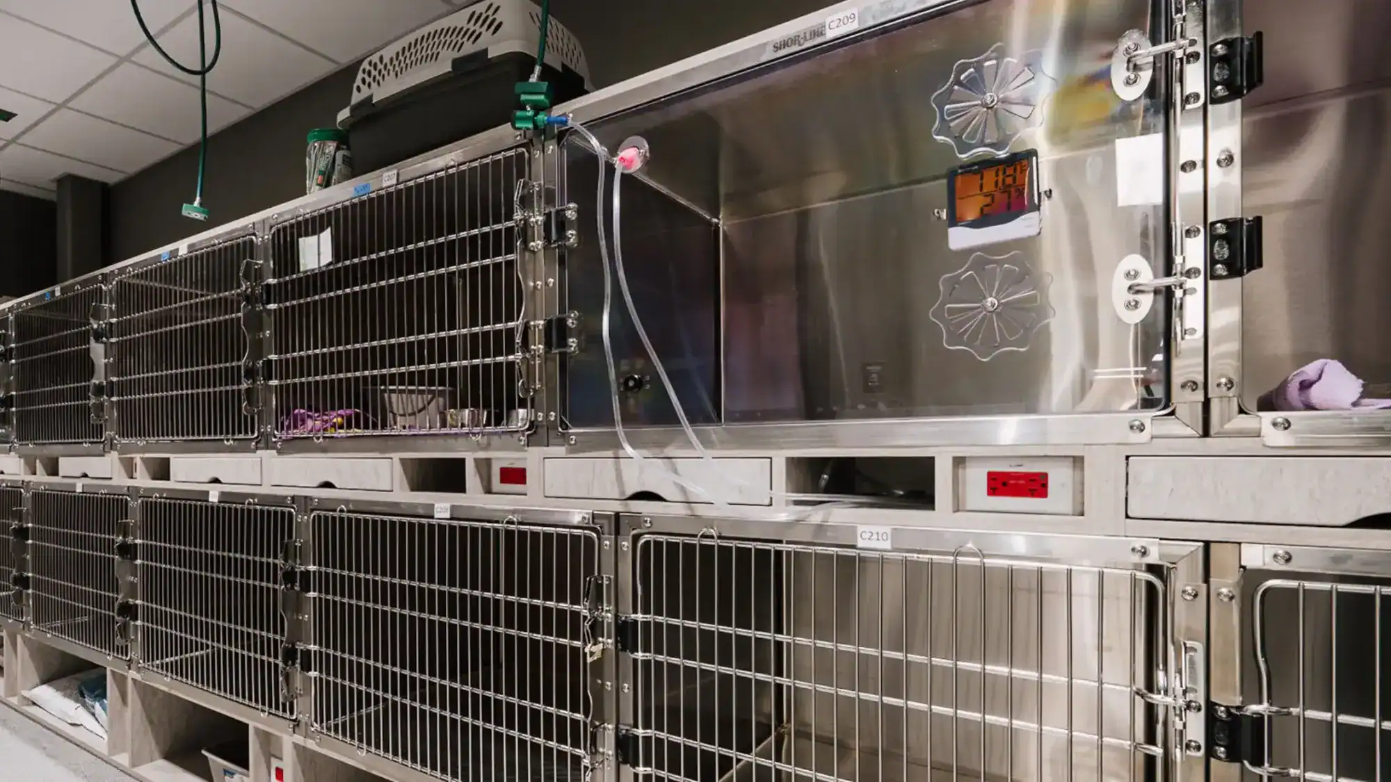Two rows of kennels including one oxygen kennel at Animal Emergency & Referral Center of Minnesota.