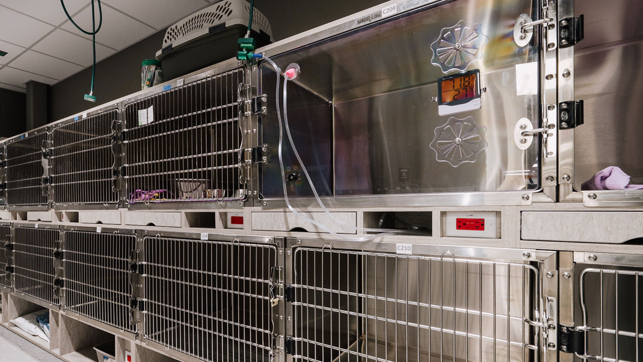 What’s an Oxygen Kennel & How Does it Help My Pet at the ER Vet?