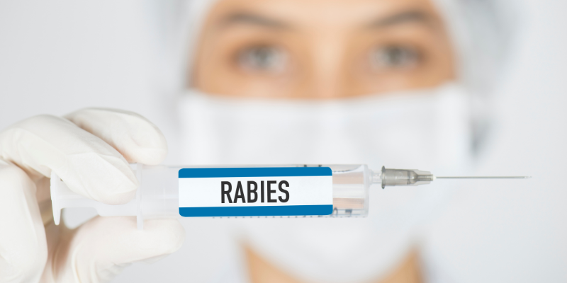 Medical professional holding a vaccination labeled "Rabies"