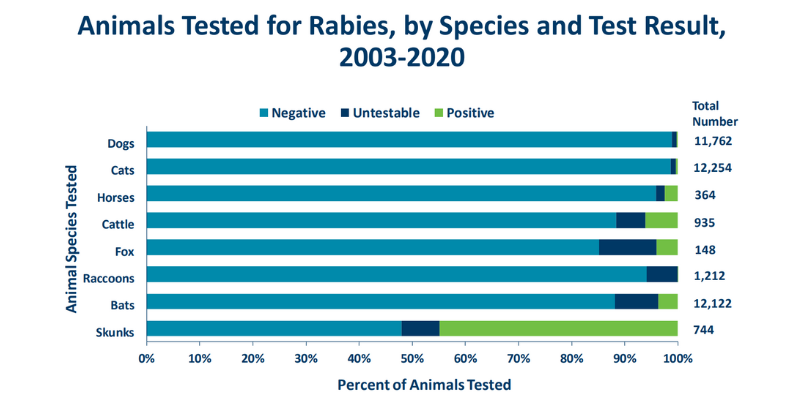 Rabies bar graph from the Minnesota Department of Health with a list of animals tested for rabies and the percent of animals tested negative, positive, or untestable. Skunks had the highest percentage of positive tests, followed by cattle, bats, foxes, and horses.