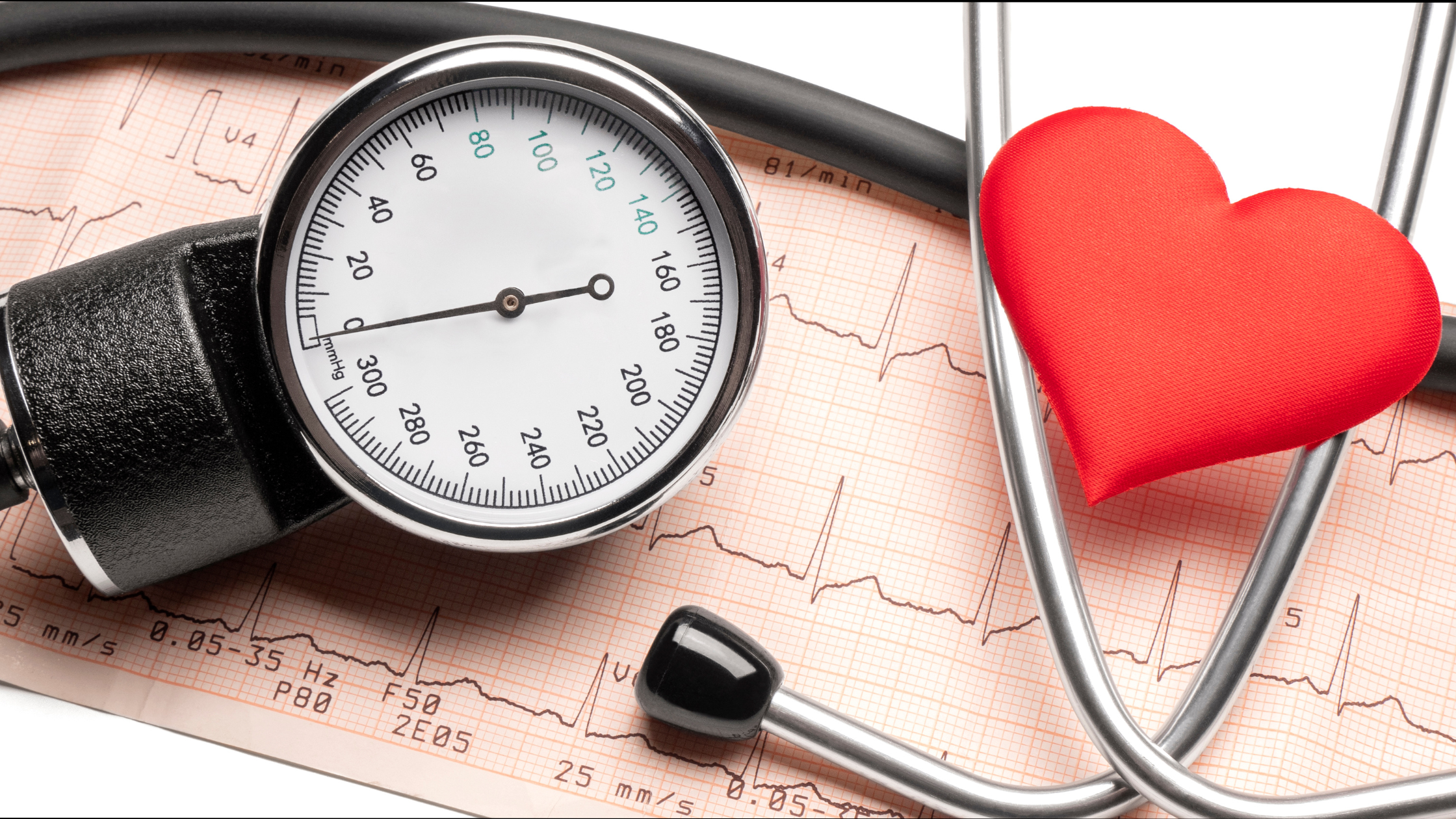 The Importance of Monitoring Your Pet’s Blood Pressure