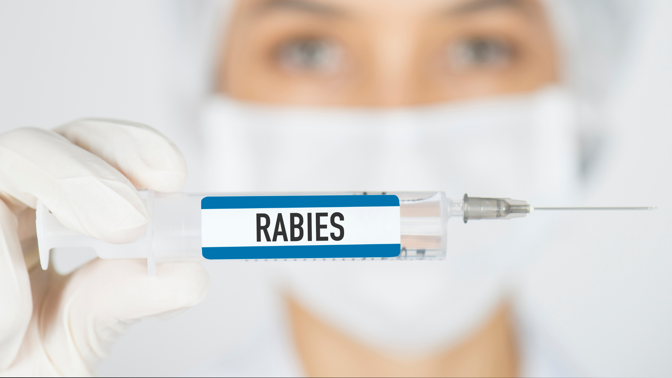 Understanding Rabies & How to Protect Your Pet