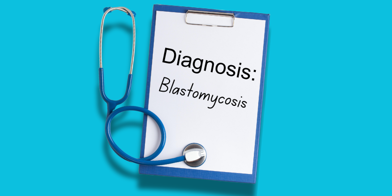 Understanding Blastomycosis in Pets
