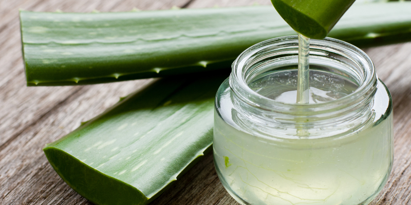 An image of aloe vera plant next to a clear jar of aloe vera gel.