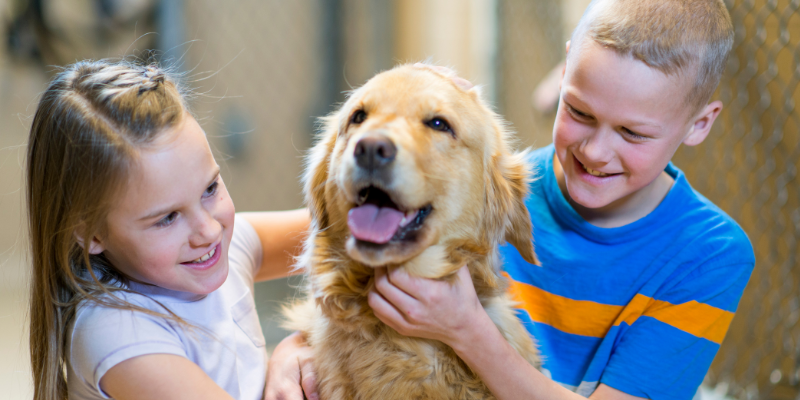 Two kids petting their new dog at an animal shelter.