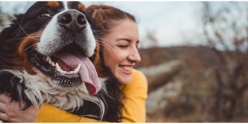 A woman in a yellow sweater hugging her Bernese Mountain dog.