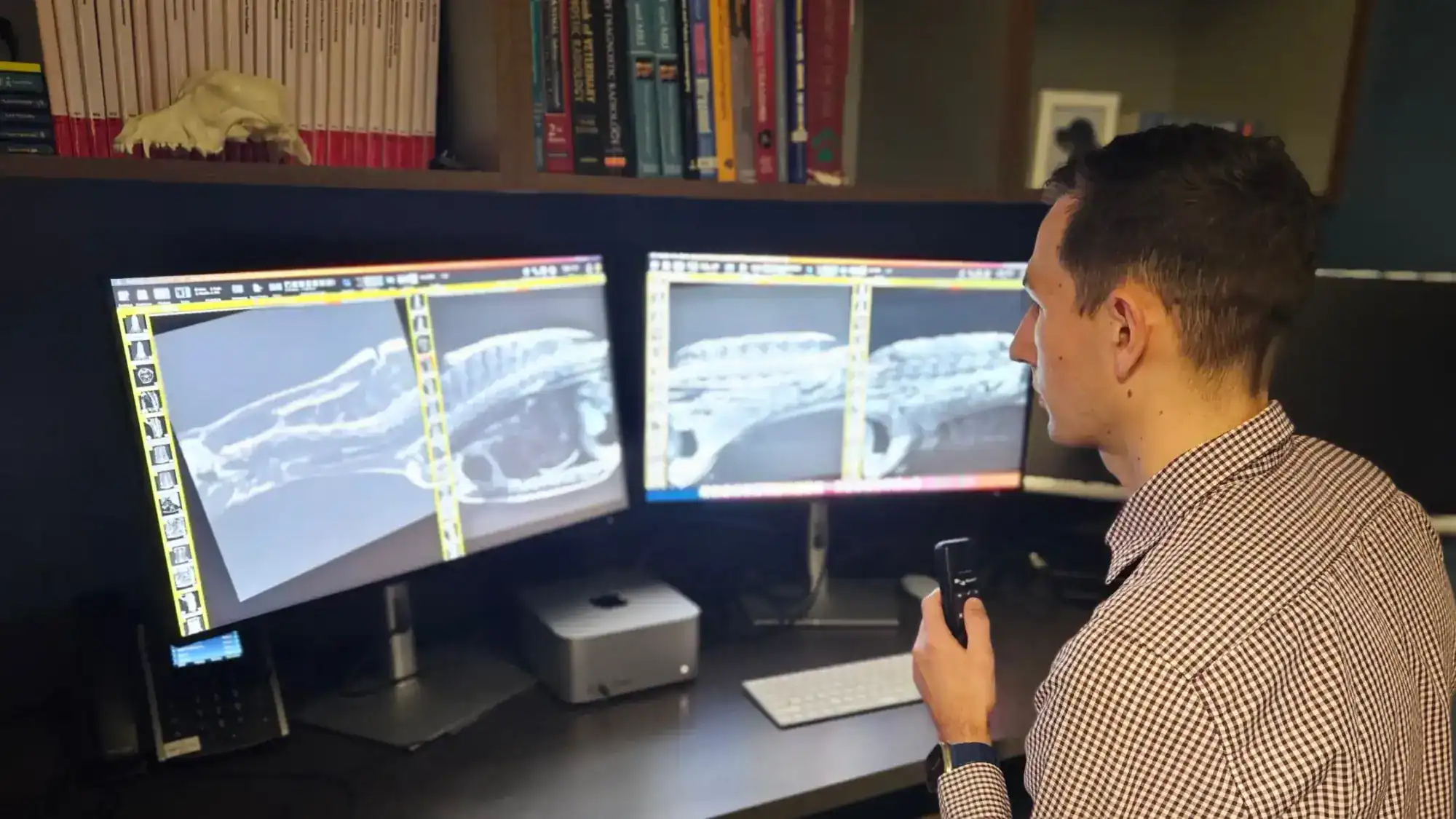 Multiple computer monitors with different imaging results at Animal Emergency & Referral Center of Minnesota.