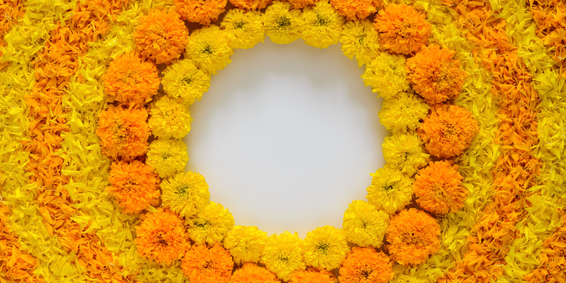 A circle of yellow and orange flowers. 