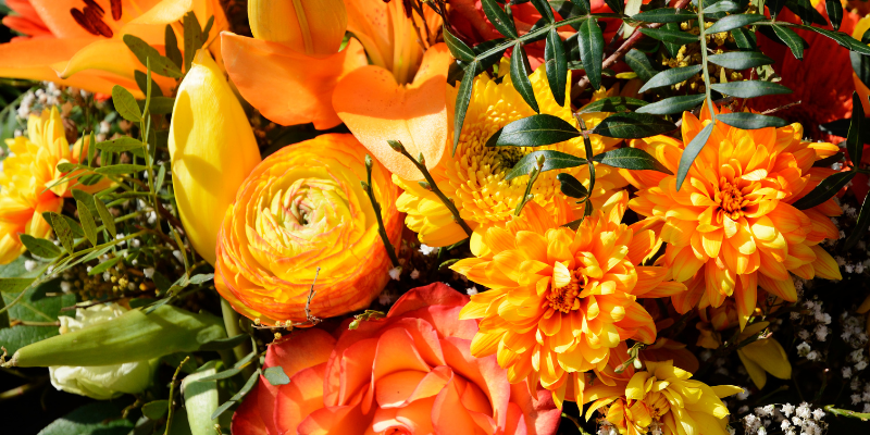A bouquet of fall flowers.