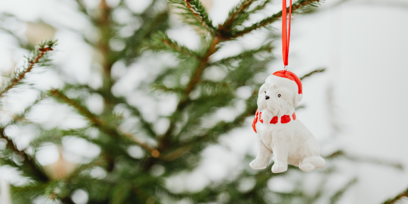 A dog with a Santa hat ornament on a Christmas tree. 