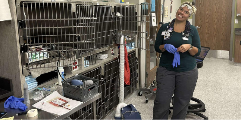 Vet tech Danisha performing a blood transfusion to a pet in the ER at Animal Emergency & Referral Center of Minnesota. 