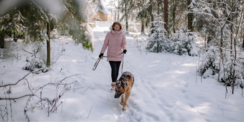 A woman bundled up in winter gear walking a dog on a leash in the snow covered trail in the woods.