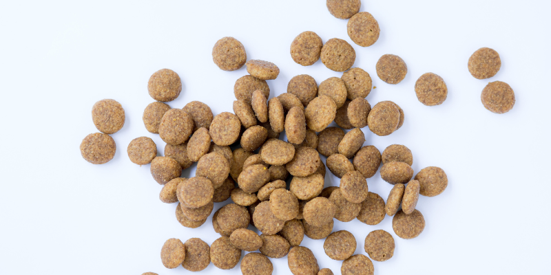 Dog kibble scattered on a white background.