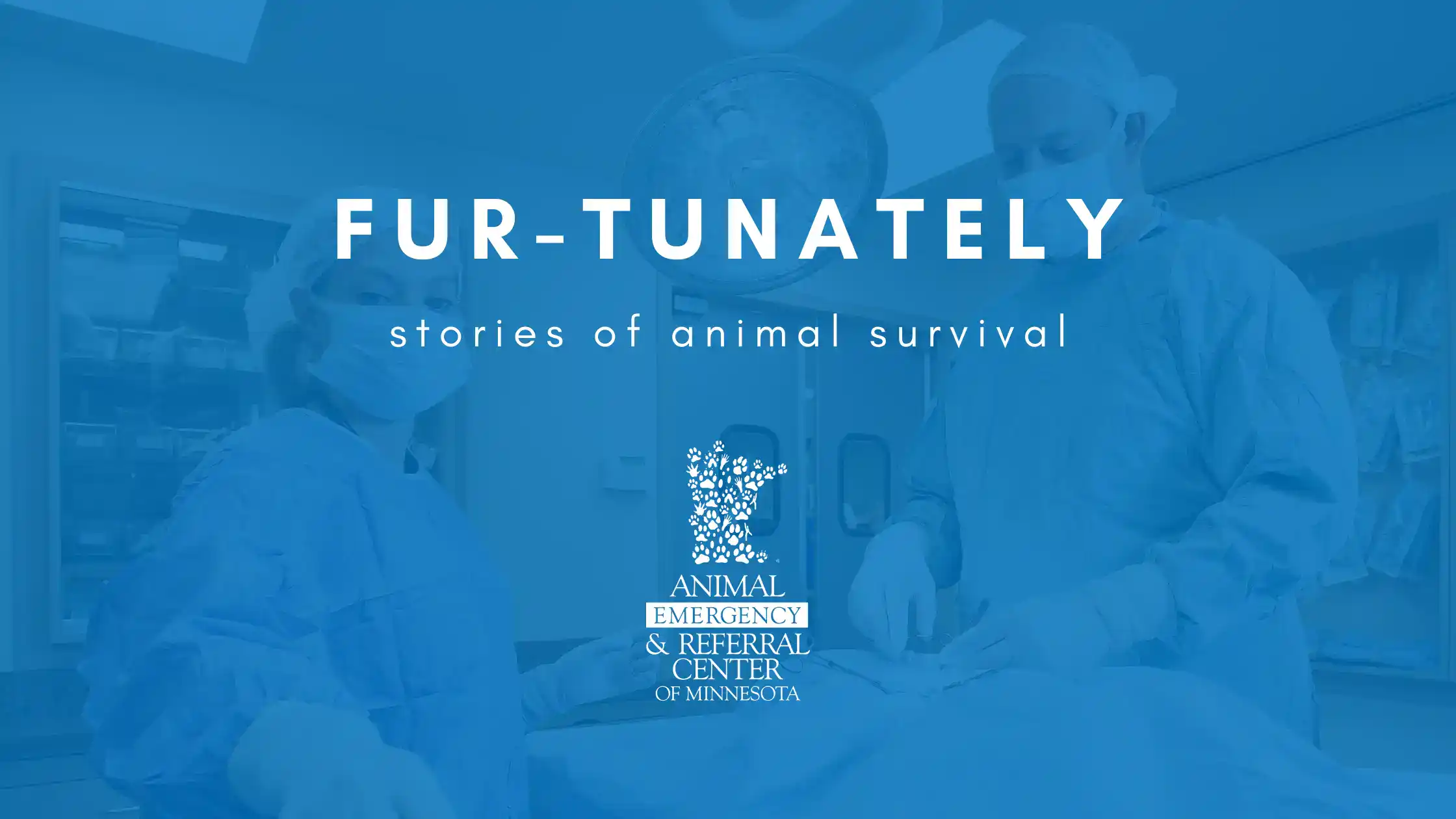 Fur-Tunately: Stories of Animal Survival | Episode XX: The Collapsed Lung Mystery