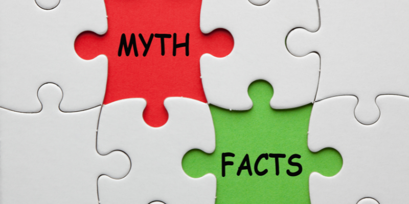 A group of puzzle pieces placed together. One puzzle piece is red with the word "Myth" and another puzzle piece is green with the word "Facts".