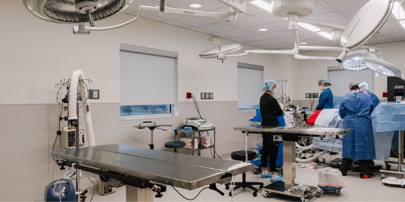 A surgery suite at Animal Emergency & Referral Center of Minnesota.