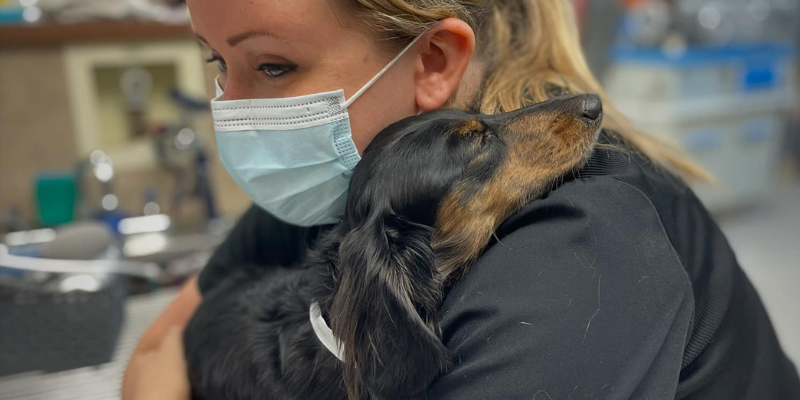 Vet tech Christy hugging a dog who is visiting our ER at Animal Emergency & Referral Center of Minnesota.