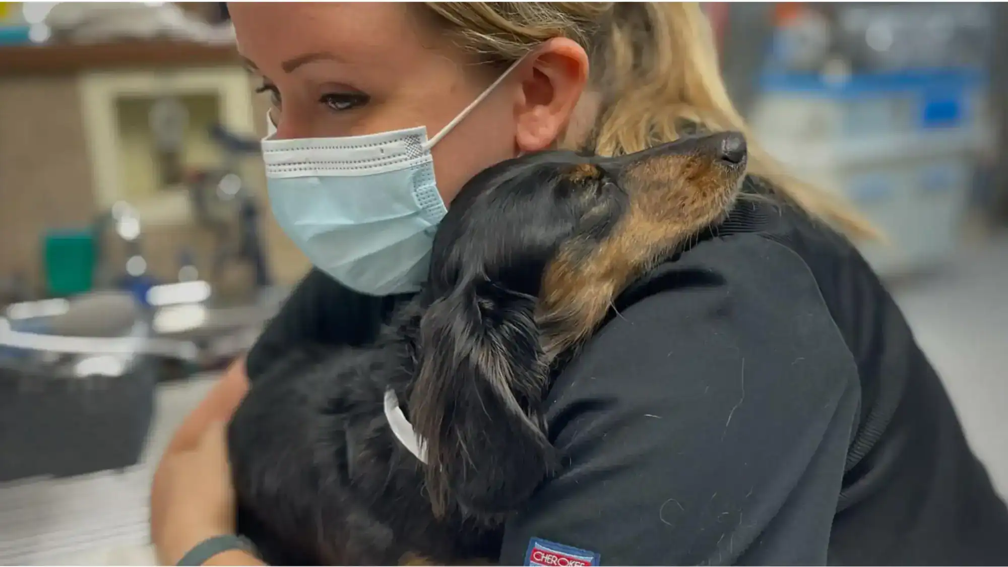 Vet tech Christy hugging a dog who is visiting our ER at Animal Emergency & Referral Center of Minnesota.
